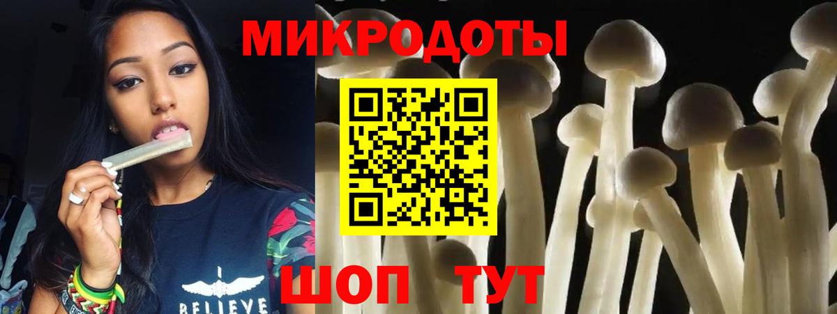 Качканар  Псилоцибиновые грибы Magic Shrooms  Вход с VPN 